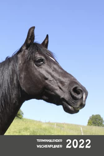 Terminkalender 2022 Wochenplaner Reiten mit Fotomotiv Pferd Rappe: Kalender, Terminplaner, Organizer, Schülerkalender, Tagebuch, Planer - Täglich, wöchentlich und monatlich