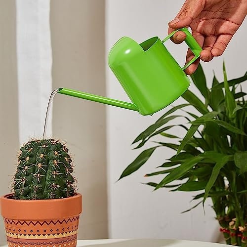 Arrosoirs de 300 ml en acier inoxydable à long bec - Petit arrosoir pour intérieur ou extérieur - Décoration de jardinage élégante (vert)