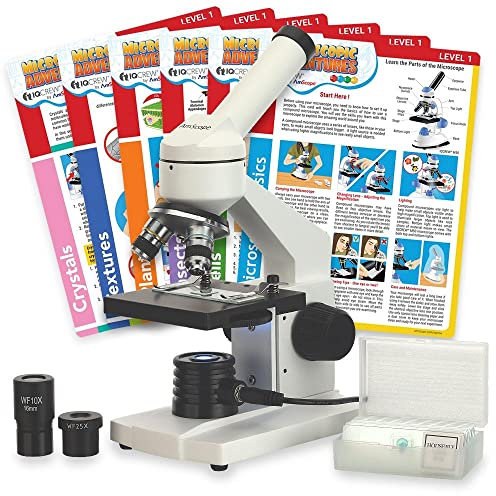 AmScope - Compound Monocular Microscope, 40X-1000X, LED + Prepared and Blank Slide Set + 6 Experiment Cards - M102C-PB10-EXCL1