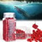 Vilbocr Power bait Fishing Dough Bait, Scent Dispersion Technology, Irresistible Scent and Flavor Ideal for carp and Other freshwater fish Species (Red - Sweet Potato Flavor)