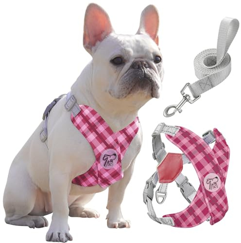 Pawaboo Harnais pour Chiens avec Laisse, Harnais Sécurisé Anti-Traction