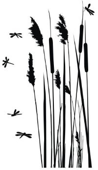 Wandtattooladen Wandtattoo - Schilfrohr mit Libellen Größe:31x55cm Farbe: Schablone