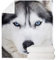 POLERO Weiße Husky-Vlies-Decke, lustige Designs, Ganzjahres-Überwurf, Flanelldecke, für Kinder und Erwachsene, warme Plüschdecke (129,5 x 149,9 cm)