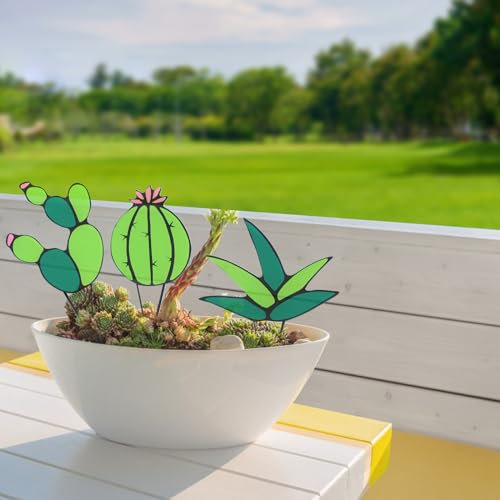 GLOBLELAND 3 Stück 3 Stile Glaspflanze Dekor Kaktus Agave Aloe Acryl Sukkulente Dekor Künstlicher Kaktus Für Hausgarten Outdoor Indoor Dekoration Ornament