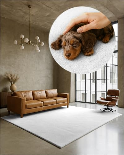 TEXMAXX Weicher Kurzflor Teppich Wohnzimmer mit rutschhemmender Rückseite (120 x 170 cm) - Modern für Flur, Esszimmer und als Schlafzimmer Teppich in Weiß - Waschbar bis 30 Grad