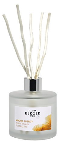 Parfum Berger - Bouquet Profumato con bastoncini Collezione Aroma - Energy 180 ml