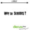 Decus why so serious Large // Sticker OEM JDM Style Aufkleber