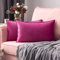 MIULEE 2er Set Samt Kissenbezug Flansch Kissenhülle Dekorative Sofakissen Dekokissen Umwickelte Kante Kissenbezüge Zierkissenbezug für Sofa Wohnzimmer Schlafzimmer 30x50 cm Rose Rot
