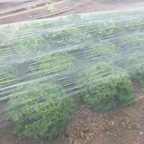 CoiTek Garden Mesh Netting, Fine Mesh Insect Netting for Vegetable Plant Protection (2.5 m x 6 m)