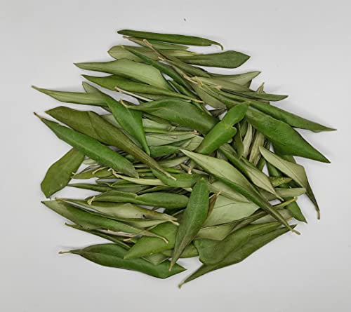 Hojas De Olivo Secas Griegas 85 Gramos - 1.95 Kilos - Clase A (220 gramos)