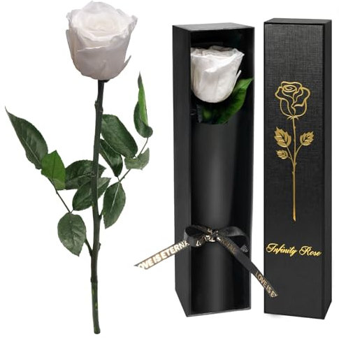 Yamonic Infinity Rose mit Stiel Geschenke für Frauen,Echte Rose Geburtstagsgeschenk für Frauen, Ewige Rose in Geschenkbox Geschenke für Mama,Konservierte Blume Frauen Geschenk Weihnachten, Weiße Rose