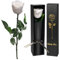Yamonic Infinity Rose mit Stiel Geschenke für Frauen,Echte Rose Geburtstagsgeschenk für Frauen, Ewige Rose in Geschenkbox Geschenke für Mama,Konservierte Blume Frauen Geschenk Weihnachten, Weiße Rose