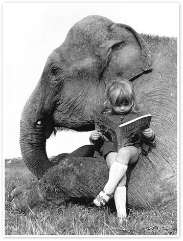 Geschichten lesen mit Elefant Poster von John Drysdale 13 x 18 cm Schwarz-Weiß Wandbilder Wanddeko
