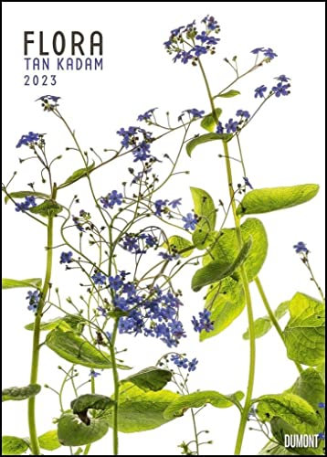 Flora 2023 – Blumen-Kalender von DUMONT– Foto-Kunst von Tan Kadam – Poster-Format 50 x 70 cm