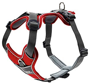 HUNTER DIVO Hundegeschirr, S, 45-56 cm, rot/grau