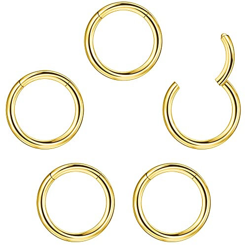 PunkTracker 5Pcs 316L Surgical Steel Hinged Nose Rings Hoop Septum Ring Body Piercing Lip Rings Helix Cartilage Rook Tragus Earrings 20G 18G 16G 6/7/8/9/10mm - Silver/Gold/Rose Gold/Black