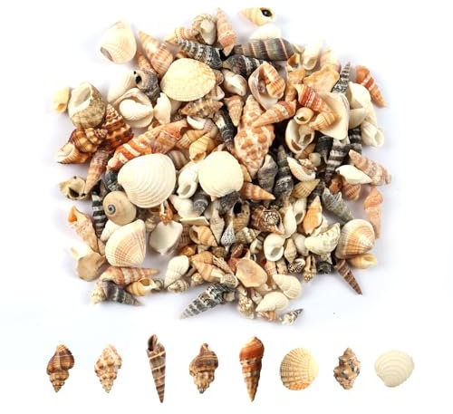 MsTeco Muscheln, 200g Muschel Deko Kleine Shells Mixed Muschelschale Natürliche Muscheln zum Basteln für Kerzenherstellung, Heimdekomischungen, Aquarium und Vase Füllstoff (0.3-3cm)