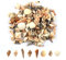 MsTeco Muscheln, 200g Muschel Deko Kleine Shells Mixed Muschelschale Natürliche Muscheln zum Basteln für Kerzenherstellung, Heimdekomischungen, Aquarium und Vase Füllstoff (0.3-3cm)