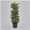 EDG Enzo De Gasperi Albero di Natale Piccolo Pino in Vaso PVC Sintetico Artificiale H53 cm