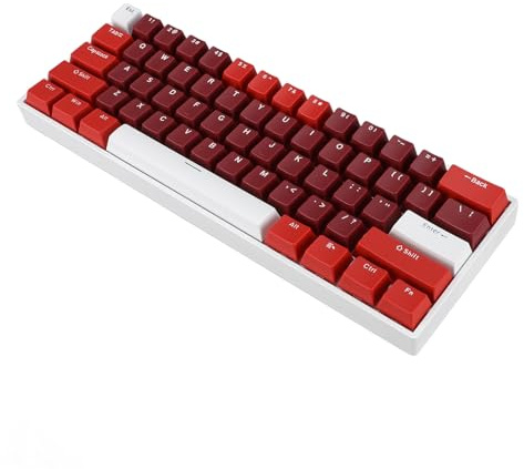 Bewinner 61 Keys Compact Mechanical Gaming Keyboard, 60% RGB USB C Wired Keyboard for PC, Hot Swap Red Switch, Quiet Typing, Double Layer Padding
