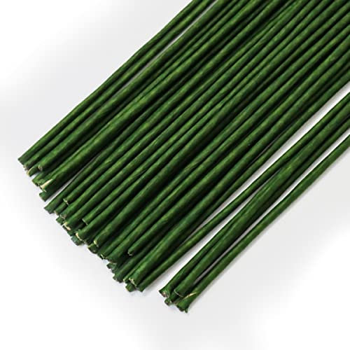 Lot de 80 fils floraux, 30 cm de long, 3 mm de diamètre, tiges florales de calibre 18 enveloppées de papier, fil de fleuriste pour fleurs artificielles, couronne, bouquet (vert)