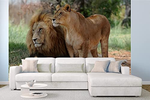 DIMEX LINE Non-Woven Photo Wallpaper Lion and Lioness 375 x 250 cm - Non-Woven Wallpaper, Wall Mural, Wall Pictures - Wallpaper for Living Room, Bedroom, Office, Kitchen