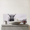 Warren Reed - Designer Premium Lone Highland Cow Glass Bathroom Splashback 6mm Toughened Glass – Water-Resistant Wall Protector for Basins & Sinks, Polished Edges