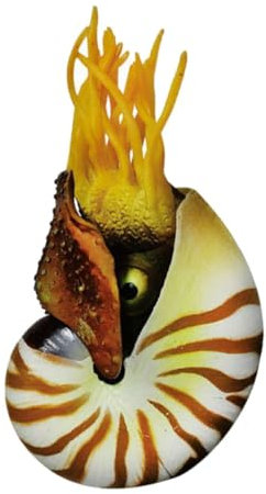 ULTECHNOVO Schalendekoration Nautilus-Schale Fischtank Dekore Dekorationen Für Aquarien Aquarium Groß Hülse Muscheln Produkte Muscheldekor Nautilus-Muschel-Dekoration