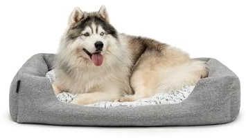 lionto Hundekörbchen mit flauschigem Wendekissen, kuscheliges Heimtierbett in meliertem Design mit tiefem Einstieg für Hunde & Katzen Aller Größen, 110x80 cm, weiches Hundebett, grau