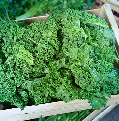 Caja fresca de col rizada, 1 kg