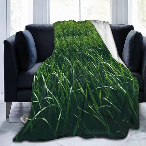 Green Grass Blanket 200 x 240 cm Summer Flannel Fluffy Fleece Blankets for Adults, Soft Lightweight Warm Throw Blanket for Bed Sofa and Couch A-1976