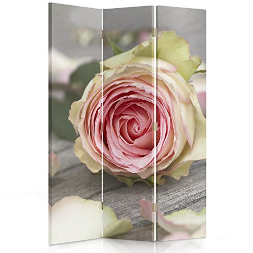 Feeby Paravent Rose Holz 110x180 cm 3 Teilig Modern Design einseitig Raumteiler Wandschirme Foto Trennwand Raumtrenner Sichtschutz Spanische Wand auf Leinwand Bedruckt Rosa Grau