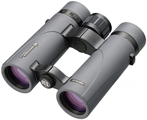 Bresser Pirsch ED 8x34 Binoculars with Phase Coating | 8x magnification, 440 g lightweight, suitable for glasses wearers, ED glass, phase coating, dielectric coating, argon filled