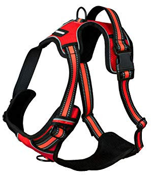 Luchs und Hase Hundegeschirr (L, Rot)