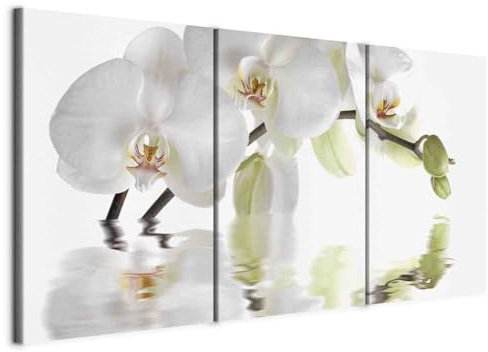 murando Quadro Fiori Orchidea 120x60 cm 3 pezzi Stampa su tela XXL Immagini moderni Murale Fotografia Grafica Decorazione da parete bianco Spa Natura b-C-0487-b-e