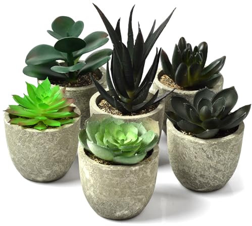 MPEIPILA Deko Pflanzen Klein, Künstliche Sukkulenten Miniklein, 6 Kleinen Deko Pflanzen Künstliche Kakteen, Kunstpflanzen Set, Kunstpflanzen Wie Echt, Grün Succulenten für Garderobe Deko,Tischdeko