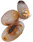 Kieselsteine Trommelsteine, Kieselsteine, Schmuck for Dekoration, Valentinstagsgeschenk, Muttertag Dekosteine (Color : 5 piece, Size : Approx 30-40mm)