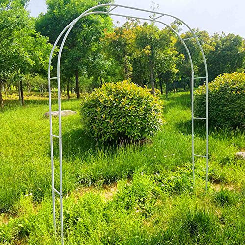 Gartenbogen 1,2 x 2,2 m, 3,5 x 2,2 m, robuster Gartenbogen, Rosenbögen aus Metall, Spalier für Pergolen und Laubengänge für Hochzeiten, Rohrdurchmesser: 19 mm, Farbe: Schwarz, Weiß, Grün, Ei