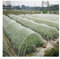 APODA Red de Protección contra Insectos, Redes para Pajaros de Jardín, Túnel de Cultivo de Malla Fina para Protección de Plantas (Mesh : 80/0.7mm, Size : 3m x 5m)