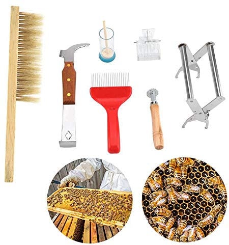 7 Stück Bienenzucht Werkzeug Set, Edelstahl Bienenzucht Zubehör Abstreicher Clip-King-Käfig Bienenstock Raucher Set Edelstahl Bienenzucht Zubehör, Nest-Rahmenclip, Bürste, Bienenzucht Werkzeug