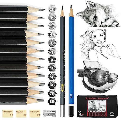Vicloon Bleistift Set,18 Stück Skizzen Set, Zeichenstifte, 12B, 10B, 8B, 7B, 6B, 5B, 4B, 3B, 2B, B, HB, F, H, 2H Graphitstifte für Kinder, Erwachsene, Künstler, Studenten, Anfänger