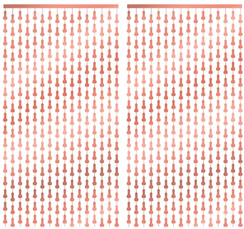 Fantasyon Junggesellinnenabschied Dekoration, 2pcs Lametta Folie Vorhänge Photo Booth Requisiten Hen Party Hintergrund Glitzer Vorhänge für Brautdusche Bachelorette Party Hen Do Party Dekorationen,