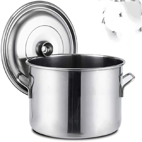 Olla cocinar, Ollas Grandes y Profundas Acero Inoxidable, Olla Profesional Acero Inoxidable inducción con Tapa Ollas Grandes