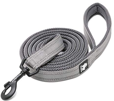 WINHYEPET Dog Leash Nylon Reflective,110cm Length(Gray,L) | Truelove Comfortable Handle Lead Puppy Training Walking Rope Easy Control Suitable Small Medium Large Breeds