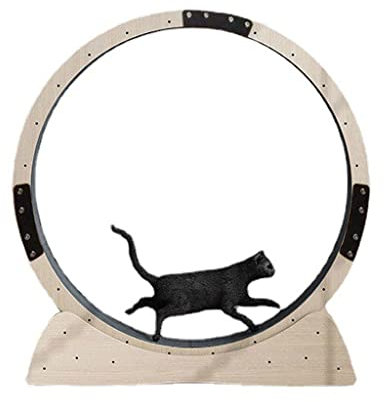 Massives Katzenlaufrad aus Holz for Hauskatzen, Katzenlaufrad aus Holz mit Teppichboden, Laufband for Katzen, Katzenmöbel zur Gewichtsabnahme bei Katzen (Size : M)