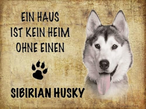 mrdeco Metall Schild 30x40cm gewölbt Sibirian Husky Hund Blechschild