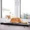 CanadianCat Company | Katzen Fensterliege groß Katzenbett Fensterbank - Snuggly Place - Large in anthrazit/dunkelgrau, Flauschiges Fensterbrett Katze waschbar, ca. 75 x 35 cm