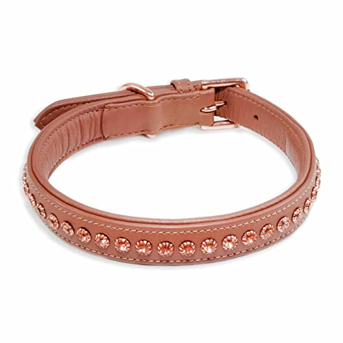 Monkimau Halsband Hund echt Leder Hunde Halsbänder braun gepolstert mit Kristallen Lederhalsband verstellbar Dog Collar Hundehalsband (M-S: 20mm x 50cm)