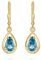 NKlaus Paar Brisur Ohrhänger 333 Gelb Gold 8 Karat 14x8mm Aquamarin Ohrringe hochglanz 11904