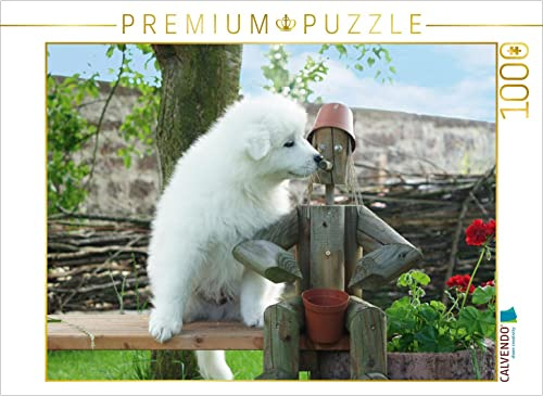 CALVENDO Puzzle EIN Motiv aus dem Kalender Samojeden Welpen | 1000 Teile Lege-Größe 64 x 48 cm Foto-Puzzle für glückliche Stunden